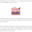 베이킹소다(중탄산염) 주사의 항암효과 - 메이플 시럽, 중탄산염을 먹으면 안되는 이유 이미지