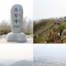 땅끝농협 이미지