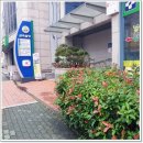 삼육 | 광주 일요일 진료가능한 병원 [위생내과]