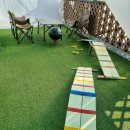 달리애견 이미지