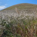 연원목장 이미지