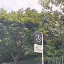 ONE카모터스 | 메르세데스-벤츠 AMG EXPERIENCE 나이트 서킷 체험기