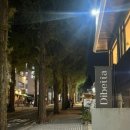 사림동119 이미지