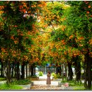 부천중앙공원 이미지