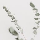 (주) 세온행정사 사무소 이미지