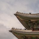 왕비에손톱