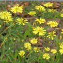 현대경복유치원 이미지