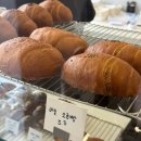 빌라누스 | 대구 소금빵 맛집 [빌라누스] 명란마요 바질 소금빵 후기｜대구 빵집 추천 바삭한 소금빵 끝판왕