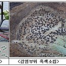 대농영농조합 | 6월 호박, 가지, 상추 영농기술 정보