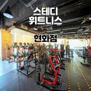 스테디휘트니스안일점