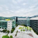 고려대학교
