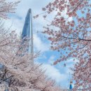 중앙빌딩(중앙사우나) 이미지