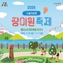 "단 9일만 열리니 서둘러야겠어요"... 12,700평에 4만 5천 주 장미가 터진 원더랜드 이미지