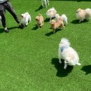 개린이 집합소 이미지