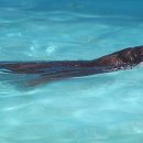 달성공원 이미지