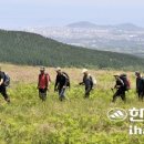 용연축산 티스토리