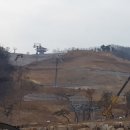 대명종합카 이미지