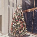 라마다모텔 | 대전호텔 라마다 바이윈덤 대전 라마다 리뷰