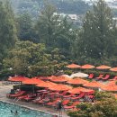 선하우스 | 호캉스 | 그랜드하얏트서울 야외 수영장 선베드 예약 / 피트니스 / 스테이크하우스 디너 후기