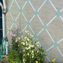 수희농장 이미지