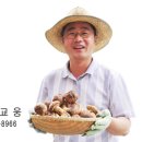 송이유통 이미지