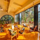 오두산 치유숲 이미지