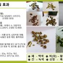 라라디톡스 이미지