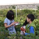 포승농장 이미지