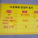 늘조은 돼지