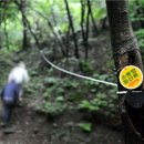 소똥령이야기 이미지