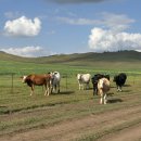 경부축산 이미지