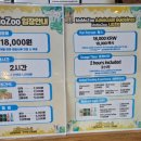 여우피시 | [모모쥬 동물원 제주 신화 월드점] 아이와 함께하는 실내 동물 교감 먹이 주기 체험 후기