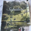 카페오일 | 남양주 브런치 카페 수풀사이 방문 후기/새우 오일 파스타 강추