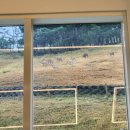 강원사슴목장 이미지