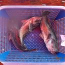 CU(대산삼길포점) 이미지