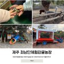 서귀포감귤정원이예쁜집 | 제주 어린이체험 동물먹이주기 숲놀이터 최남단체험감귤농장