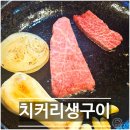맛있는 한우2 | [속초] 치커리생구이, 웨이팅도 납득한 속초 한우 맛집! 한우모둠세트2 후기