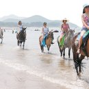 말 달리고… 귀신 보고… 색다른 지역축제 이미지