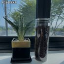 평동로-1L 네이버블로그