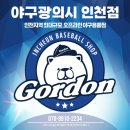 고든스포츠야구광의시 이미지