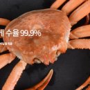 구룡포 과메기 이미지