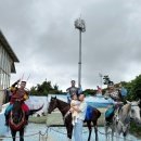 카멜리아힐 | 제주 투어 패스 24시간으로 다녀온 더마파크, 점보빌리지, 아트서커스, 카멜리아힐 후기