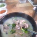 연일돼지국밥 이미지