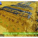 양정농장 이미지