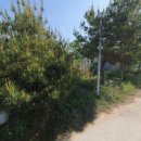 이서면사무소 이미지