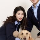 포마이티니