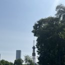 시장티브이 | 여행 day 4 : 오도리공원, 삿포로 TV타워, 니조시장 카이센동, 머메이드 커피 로스터스, 파라타항공 후기
