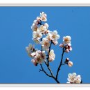 상동공원 이미지