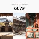 처인구백암면민원실_R | 소니 A7M4 후기 사진 영상 크리에이티브룩 A7M3 비교하면?