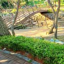 선산체육공원 체육시설 이미지